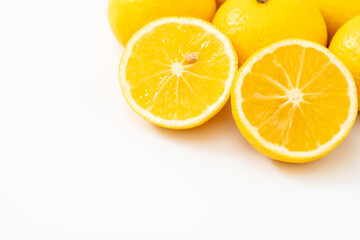 白背景に爽やかな湘南ゴールド