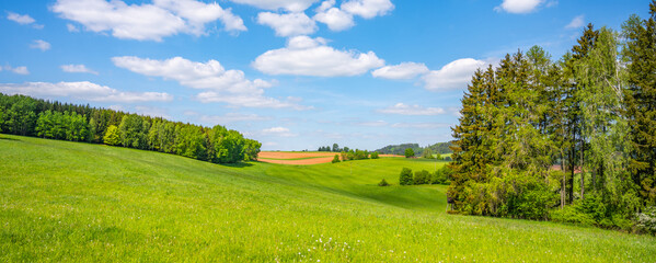 Naklejka premium Rolling green hills stretch across the landscape, dotted with trees. Fluffy clouds float in a bright blue sky, showcasing a serene natural environment bathed in daylight.