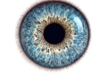 Detailed close-up of a blue human eye with intricate patterns, cut out