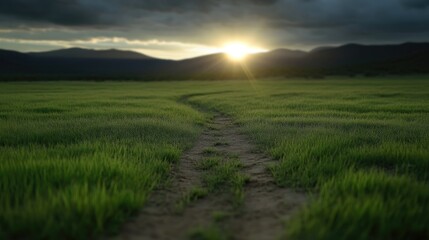 Fototapeta premium Pathway through vibrant green field at sunset. Sunlight streams through dark clouds over distant mountains