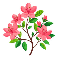 pink flowers on white background