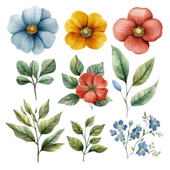 Watercolor illustration set of various spring flowers and leaves. Hand-painted botanical elements in soft pastel tones, perfect for wedding invitations, greeting cards, packaging, textile patterns