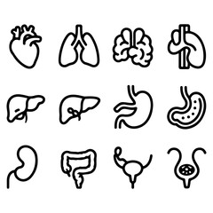 Human Organs Line Icon Set | Minimal Medical Anatomy Icons