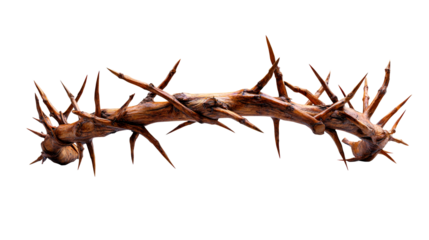 Crown of thorns against black background, cut out transparent