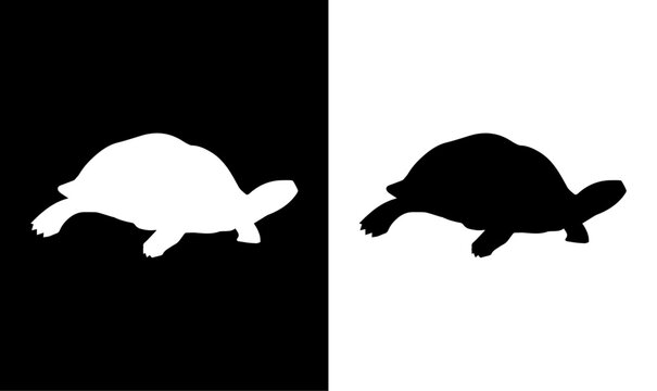 turtle silhouette set vector illustration, set, silhouette, symbol, icons, symbol, black turtle set, black, silhouettes, icons, icon, symbol, design, vector, art, abstract, sea, animal silhouette, 
