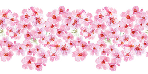 Watercolor seamless pattern drawing with branches and cherry blossoms