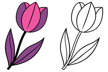 Pink and purple tulip blossom stands beside a simple line drawing of it, isolated