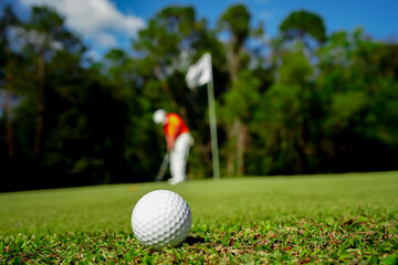 Golf ball on green grass in the evening golf course with sunshine background.