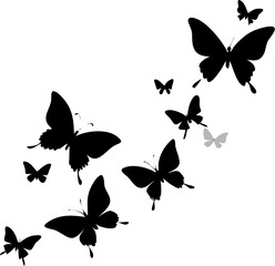 Fototapeta premium butterfly on a white background