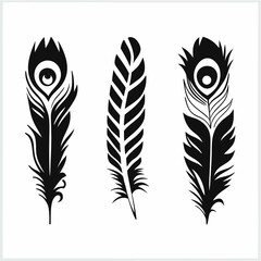 Obraz premium feather isolated on white background