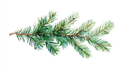 place text background branches olated christmas watercolor illustration fir frame merry christmas new year christmas tree branch celebration design fir tree greeting card holiday leaf pine watercolor