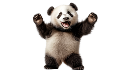 Joyful Panda Cub Posing Upright, cut out transparent