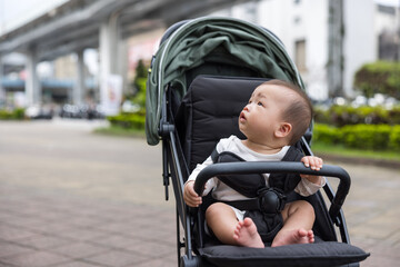 Baby in Stroller Going for Walk in City