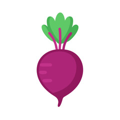  Fresh Beetroot on a Plate