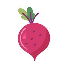  Beetroot with Natural Colors