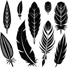 Silhouettes of Black Feathers - Artistic Collection