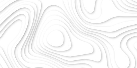Abstract wavy line 3d paper cut white background. white and gray luxury grid topography map and satin smooth wallpaper matt paper light texture. White waves decorative papercut design.