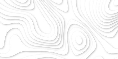 Abstract wavy line 3d paper cut white background. white and gray luxury grid topography map and satin smooth wallpaper matt paper light texture. White waves decorative papercut design.
