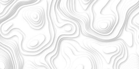 Abstract wavy line 3d paper cut white background. white and gray luxury grid topography map and satin smooth wallpaper matt paper light texture. White waves decorative papercut design.