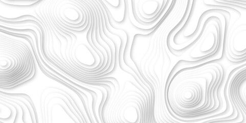 Abstract wavy line 3d paper cut white background. white and gray luxury grid topography map and satin smooth wallpaper matt paper light texture. White waves decorative papercut design.