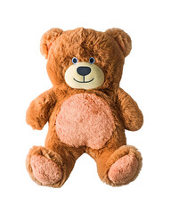Fototapeta premium Brown Teddy Bear Sitting Plush Toy Isolated on White or Transparent or Transparent Background