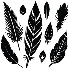 Black Silhouette Feather Collection