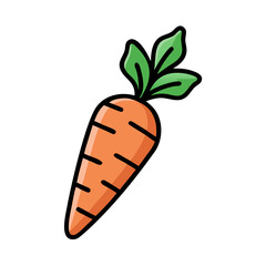  Fresh Carrot with Green Leaves