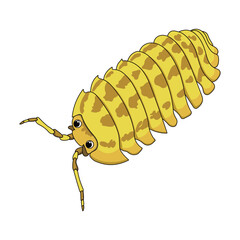 Ball bug vector illustration with yellow color