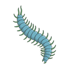 Centipede vector illustration with sky blue color