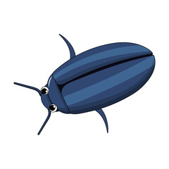 Water beetle vector illustration with navy color