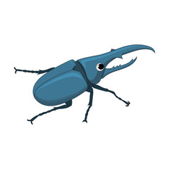 Blue Hercules beetle vector illustration