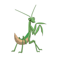 Green praying mantis vector illustration with Green