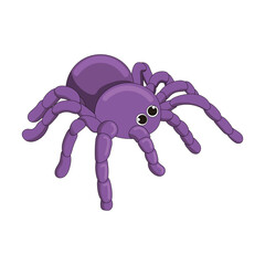 Tarantula vector illustration with purple color
