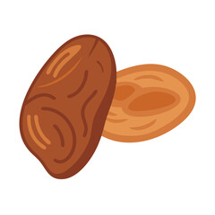  Nutritious Date Fruit