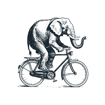 Elephant riding a bicycle &ndash; Black and White Icon Vector and Illustration