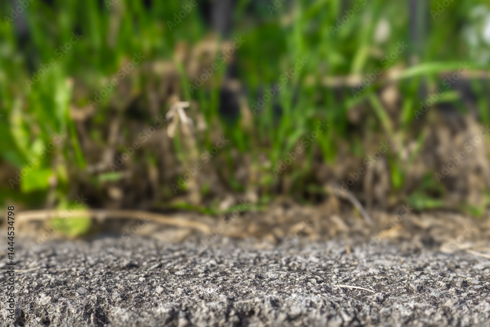 Poster Ground copy space with concrete stone surface and grass bokeh blurred backdrop. Summer nature copy space abstract background podium table stage display.