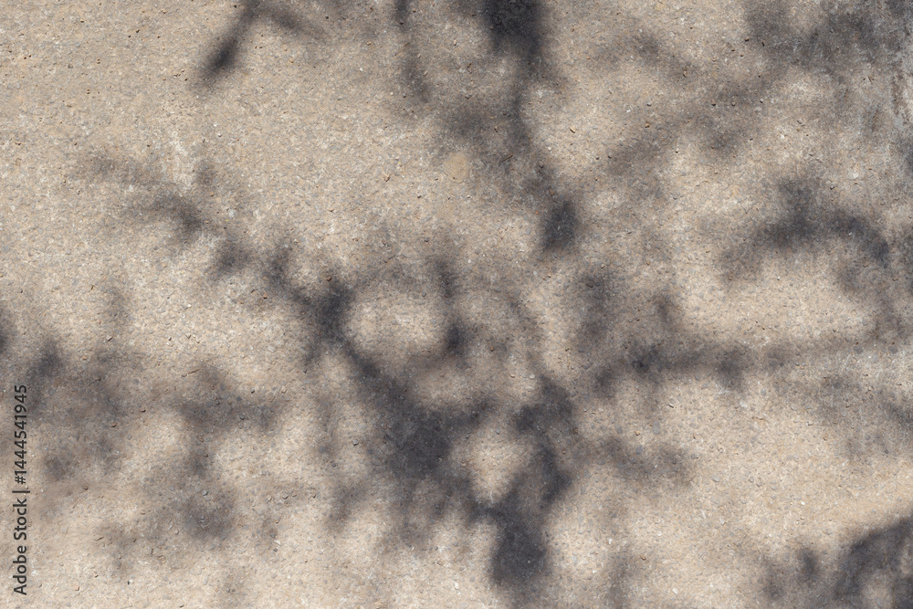 Poster leaves shadows. leaves bokeh nature sunny summer cozy background with sunlight. leaves and trees sha