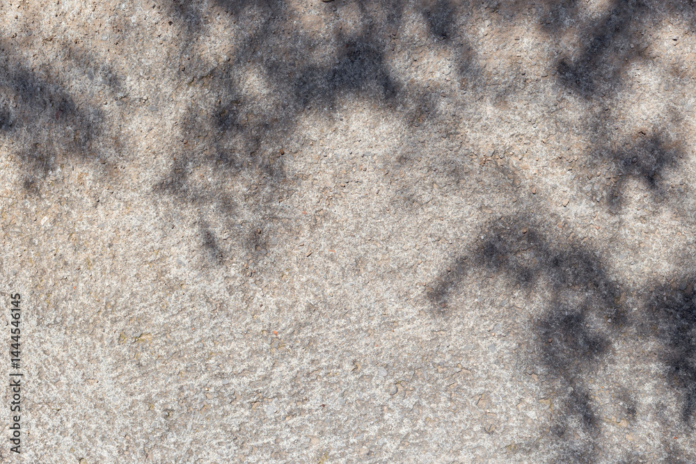 Poster leaves shadows. leaves bokeh nature sunny summer cozy background with sunlight. leaves and trees sha