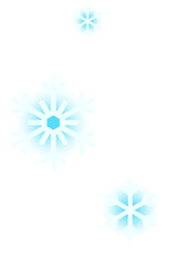 Christmas Shiny Snowflake Decoration
