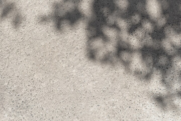 Leaves shadows. Leaves bokeh nature sunny summer cozy background with sunlight. Leaves and trees shadows on gray concrete stone surface. Gray summer background copy space. Concrete wall with sunlight