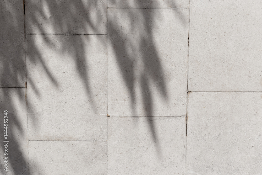Poster White wall with leaves shadows and sunlight summer background. Leaves shadows sunny bokeh on white marble tile empty wall. White copy space. Summer wall background display texture