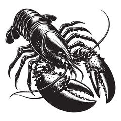 Seafood lobster vector silhouette illustration