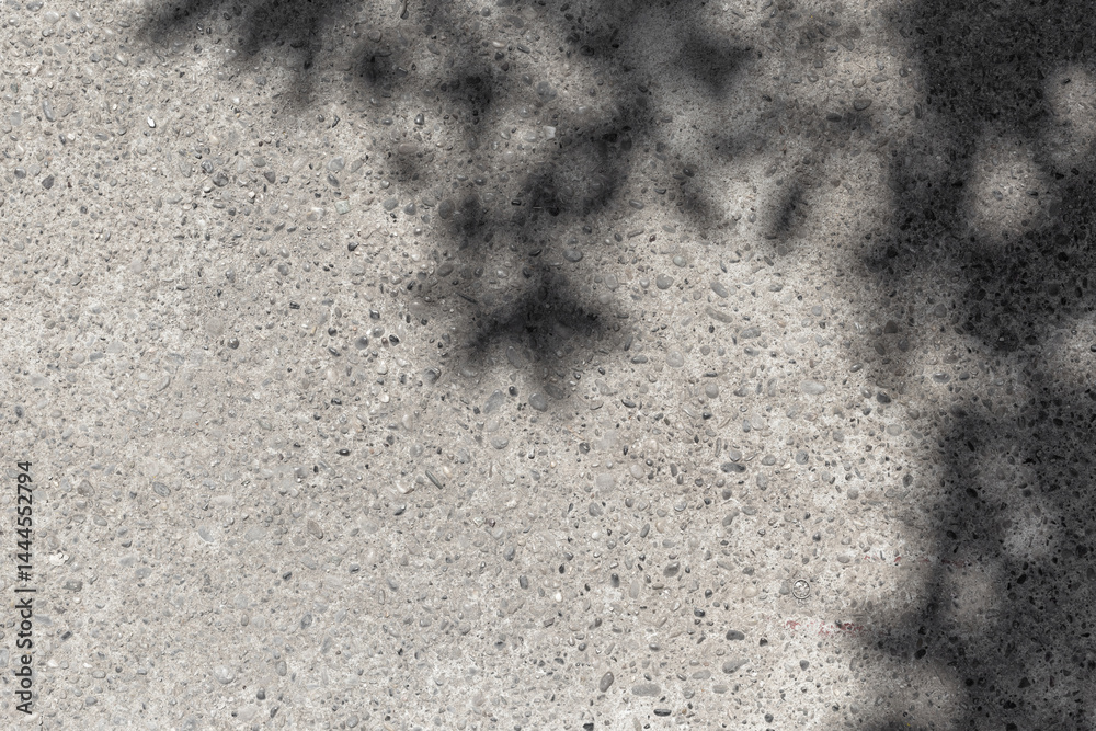 Poster leaves shadows. leaves bokeh nature sunny summer cozy background with sunlight. leaves and trees sha