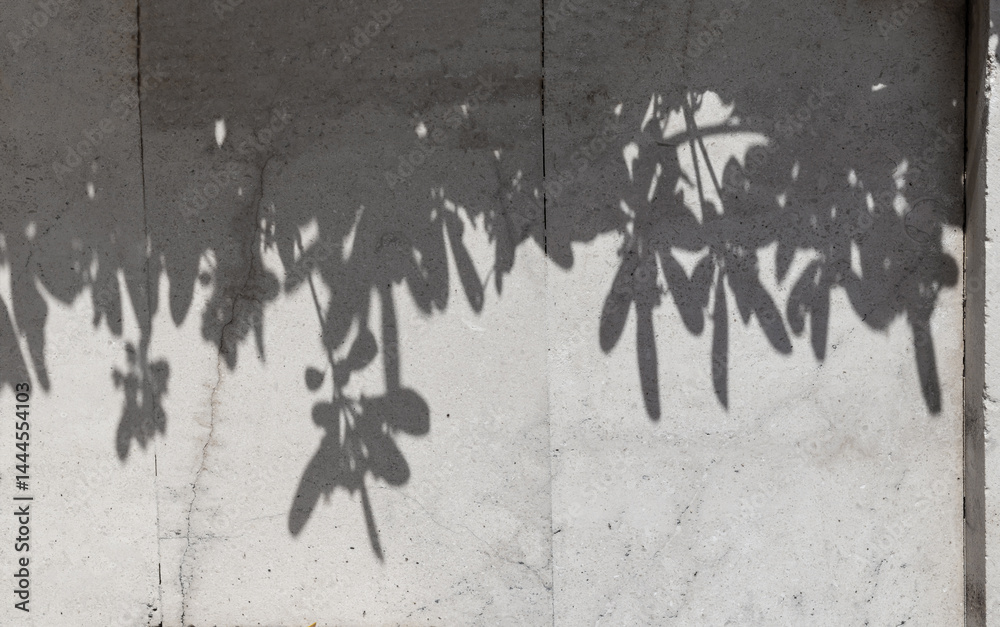 Aufkleber white wall with leaves shadows and sunlight summer background. leaves shadows sunny bokeh on white m