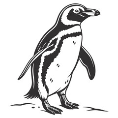 Monochrome Standing Penguin Illustration, Detailed Wing Markings and Short Legs