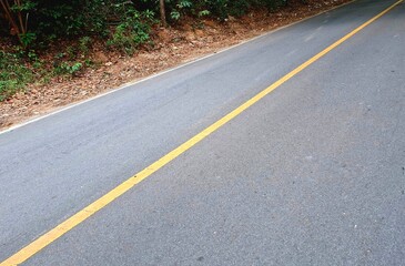 A nice and cool highway under shady trees
