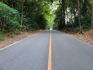 The highway is straight and nice and cool, under the shady tropical forest trees.