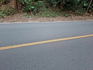Obraz premium A nice and cool highway, under the shady tropical forest trees.