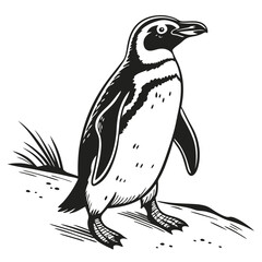 Line Art Standing Penguin in Black and White with Detailed Feet and Grass