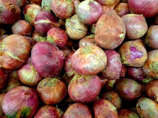 Good red onions sold in the market